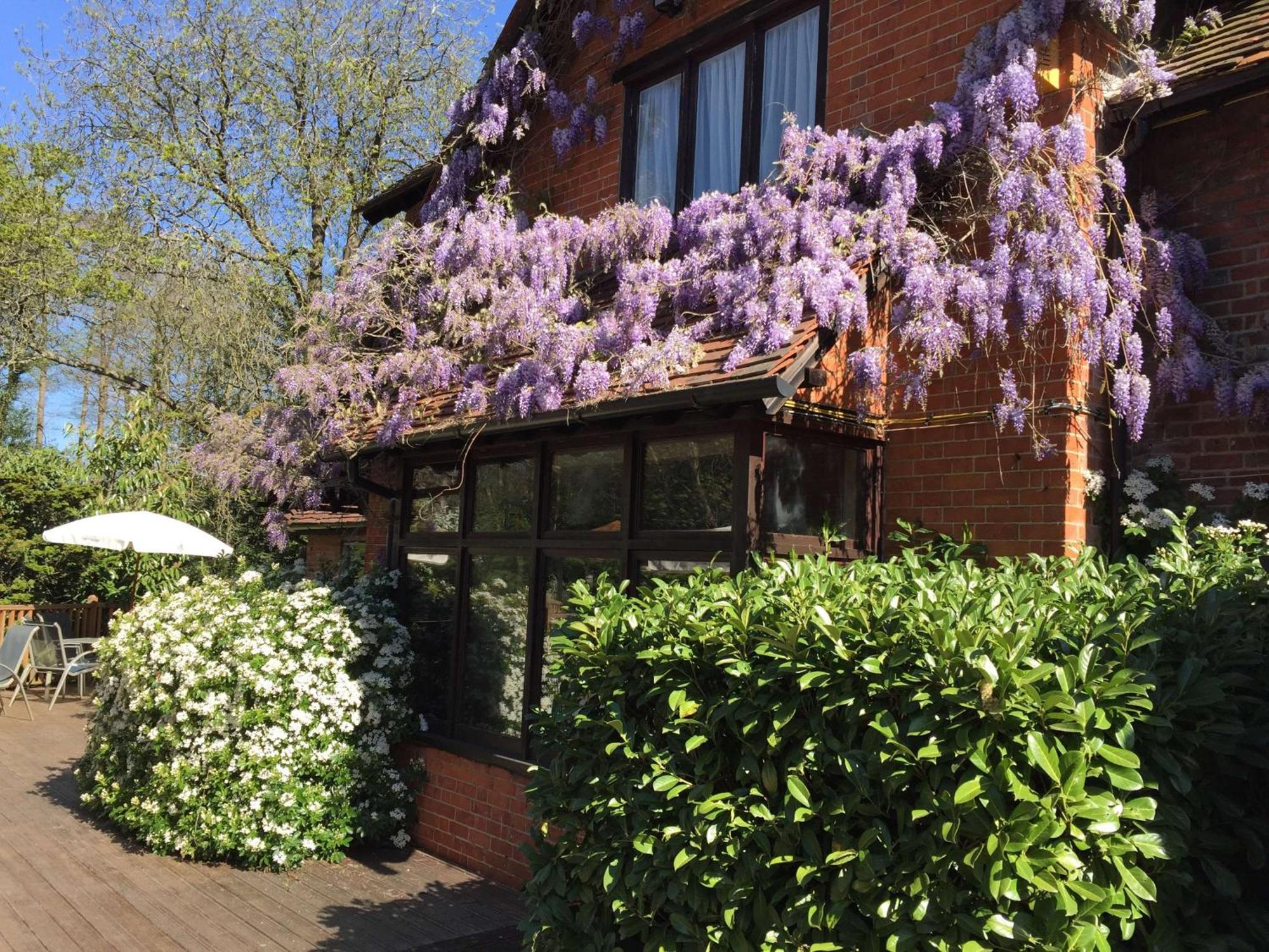 The Casa Hotel, Sure Hotel Collection By Best Western Yateley Exteriör bild